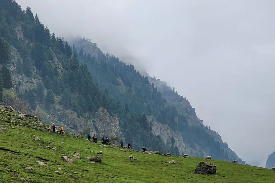 Kashmir 9D 8N Deluxe Tour (from Jammu/Katra)